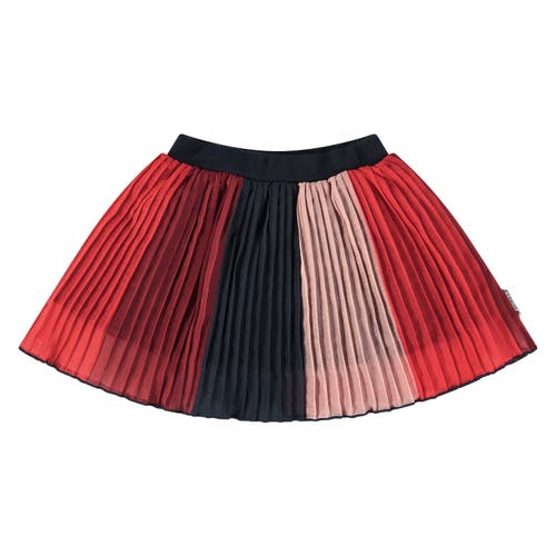 Stains And Stories By Babyface Kids' Multi-colored Pleated Skirt