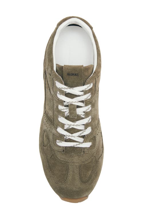 Alohas Tb.56 Suede Lace-up Sneakers In Green