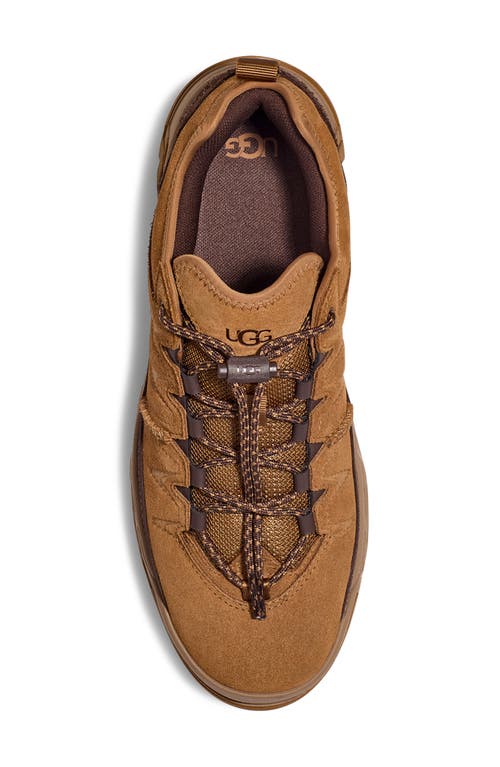 Ugg ® Captrail Low Waterproof Sneaker In Chestnut