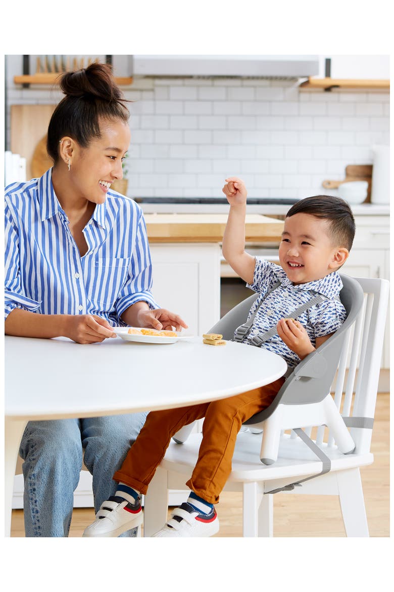 4-in-1 Multi Stage High Chair, Alternate, color, MULTI