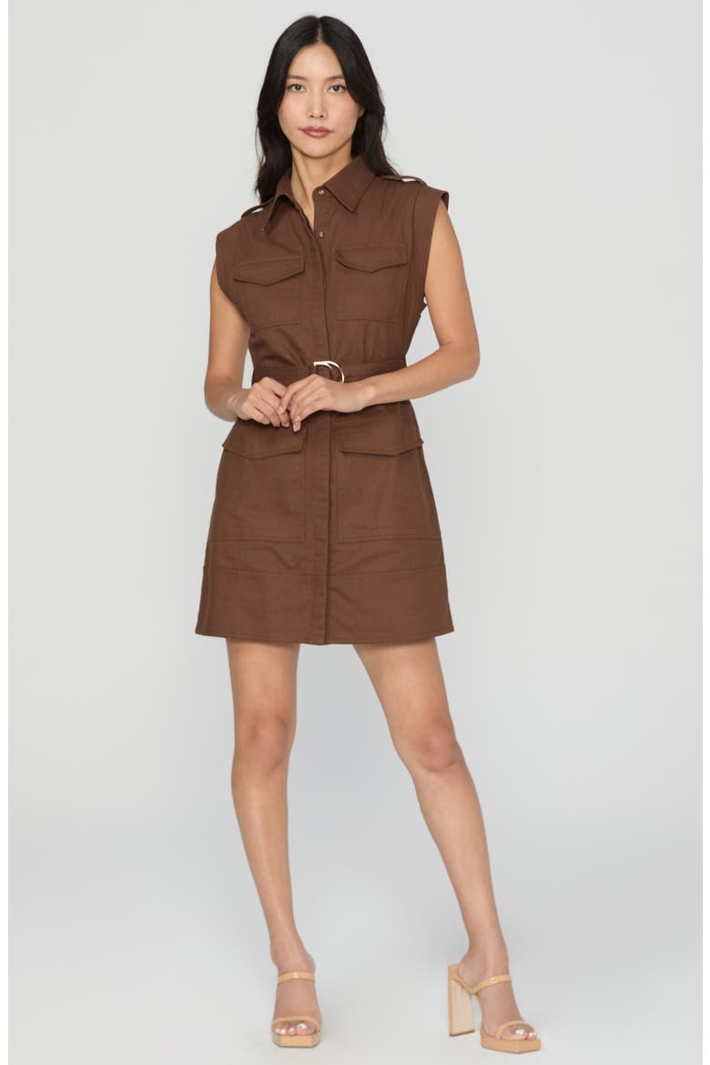 Nala Cotton Sleeveless Shirtdress, Alternate, color, BROWN