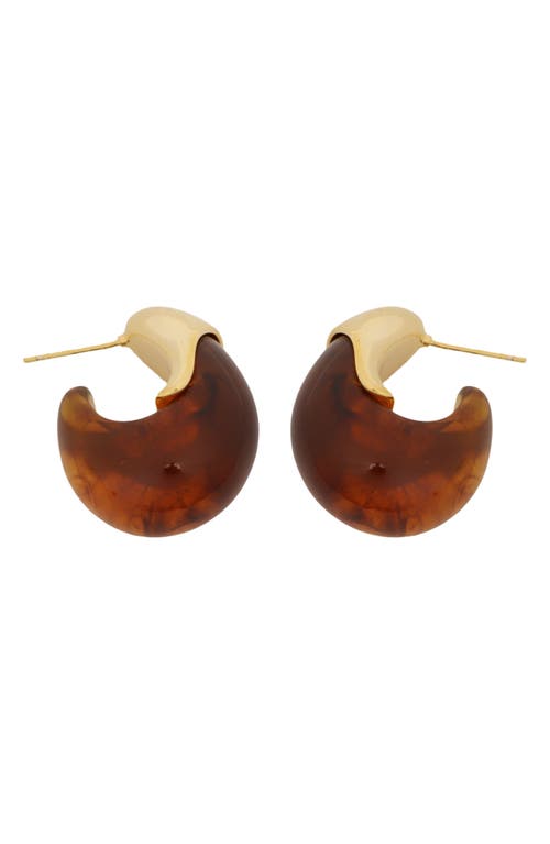 Panacea Bubble Hoop Earrings In Brown