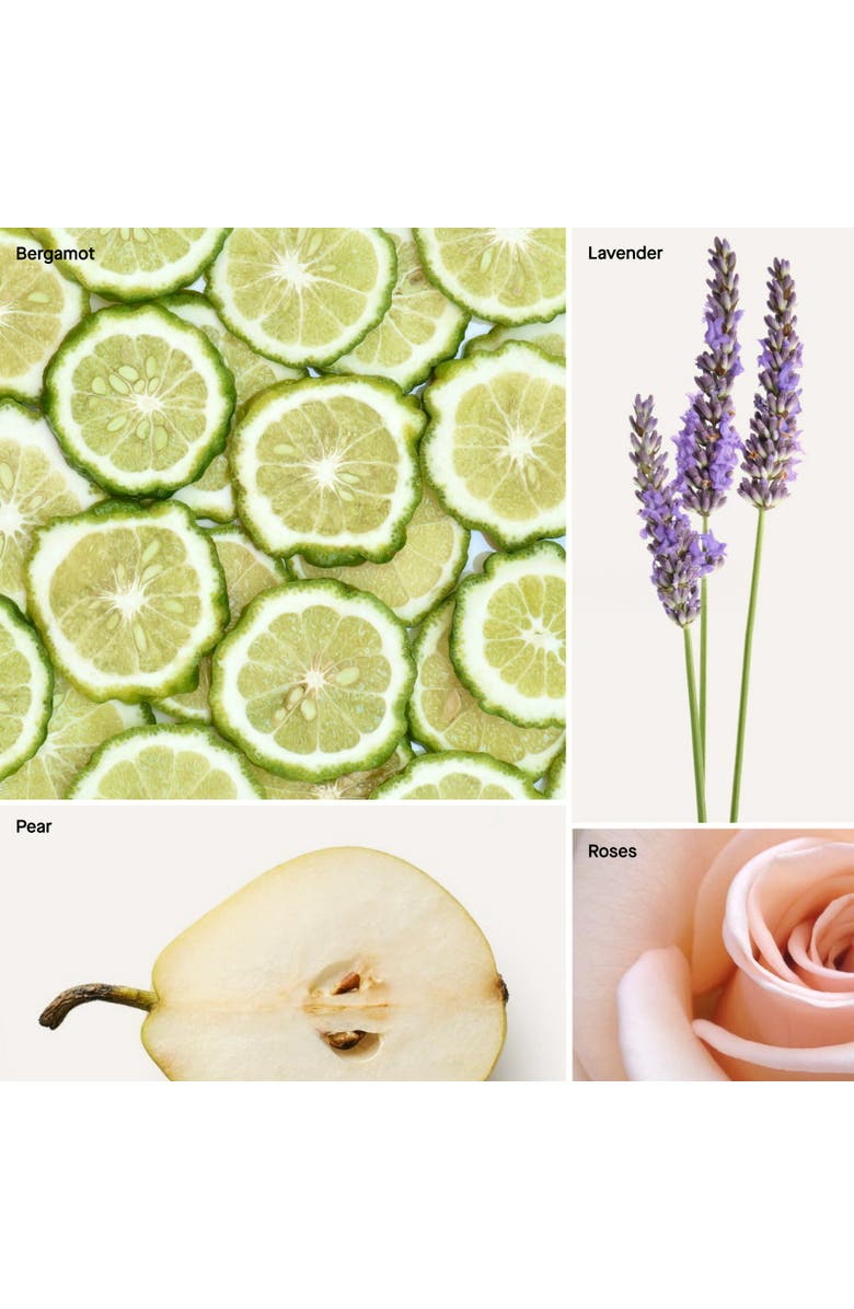 Dusa Fragrances Lavender I Bergamot - 4 Fl Oz  Room & Linen Spray, Alternate, color, Lavender