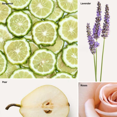 Dusa Fragrances Lavender I Bergamot In Multi