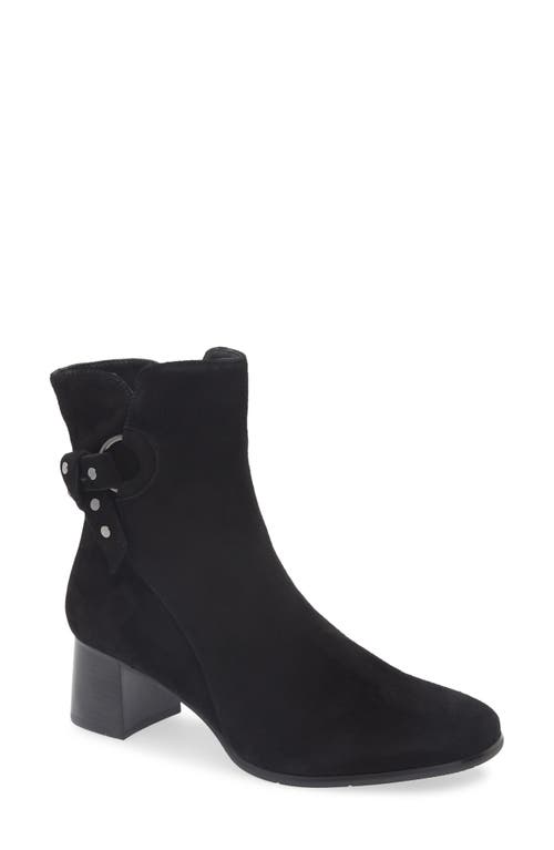 Regarde Le Ciel Ines Bootie In Black