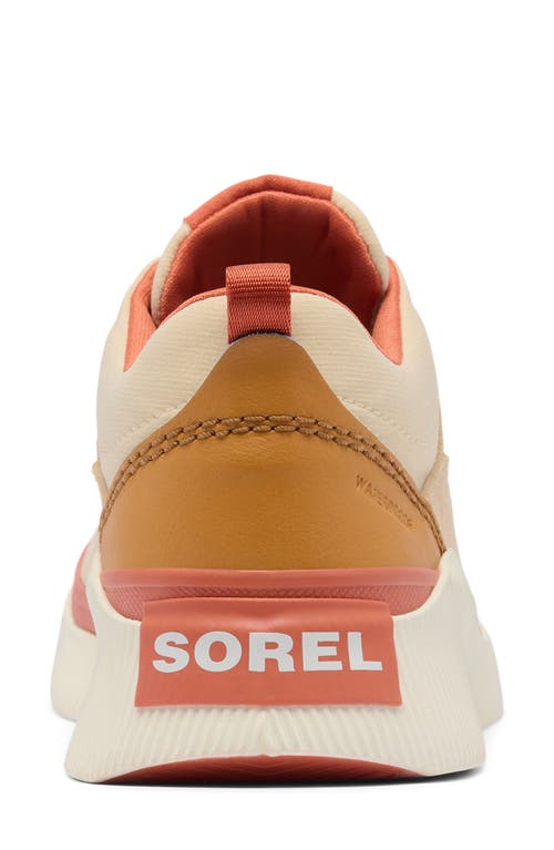 Sorel Out N About Iv Waterproof Sneaker In Bleached Ceramic/tuscan