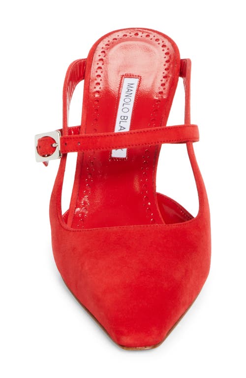 Manolo Blahnik Okos Pointed Toe Pump