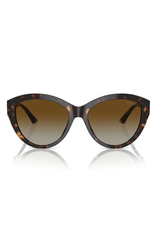 Jimmy Choo 55mm Polarized Gradient Phantos Sunglasses In Havana/polar Gradient Brown