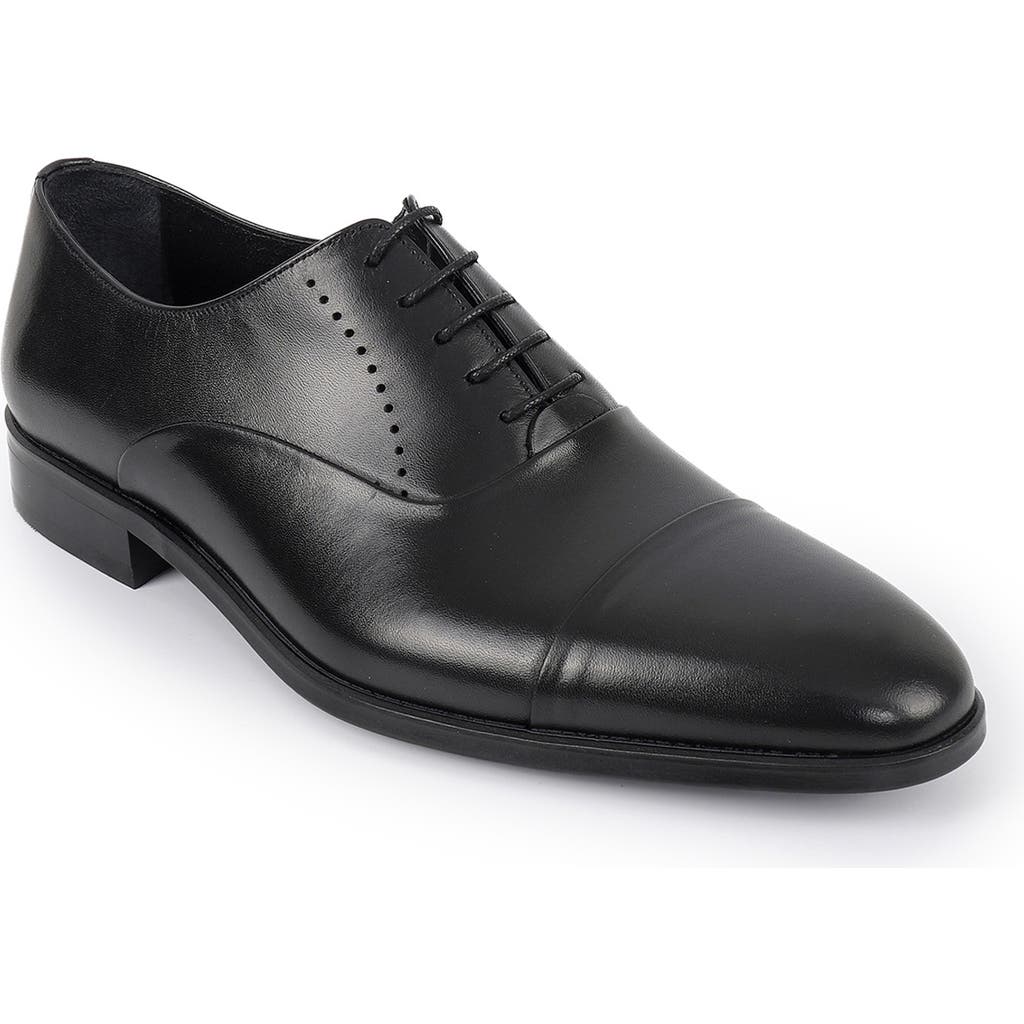 Vellapais Dinero Perforated Oxford In Black