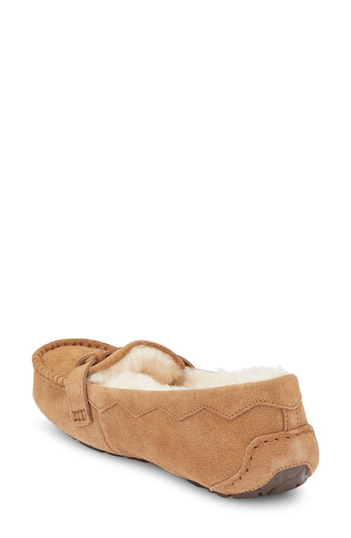 Ugg ® Willow Moc Toe Loafer In Brown