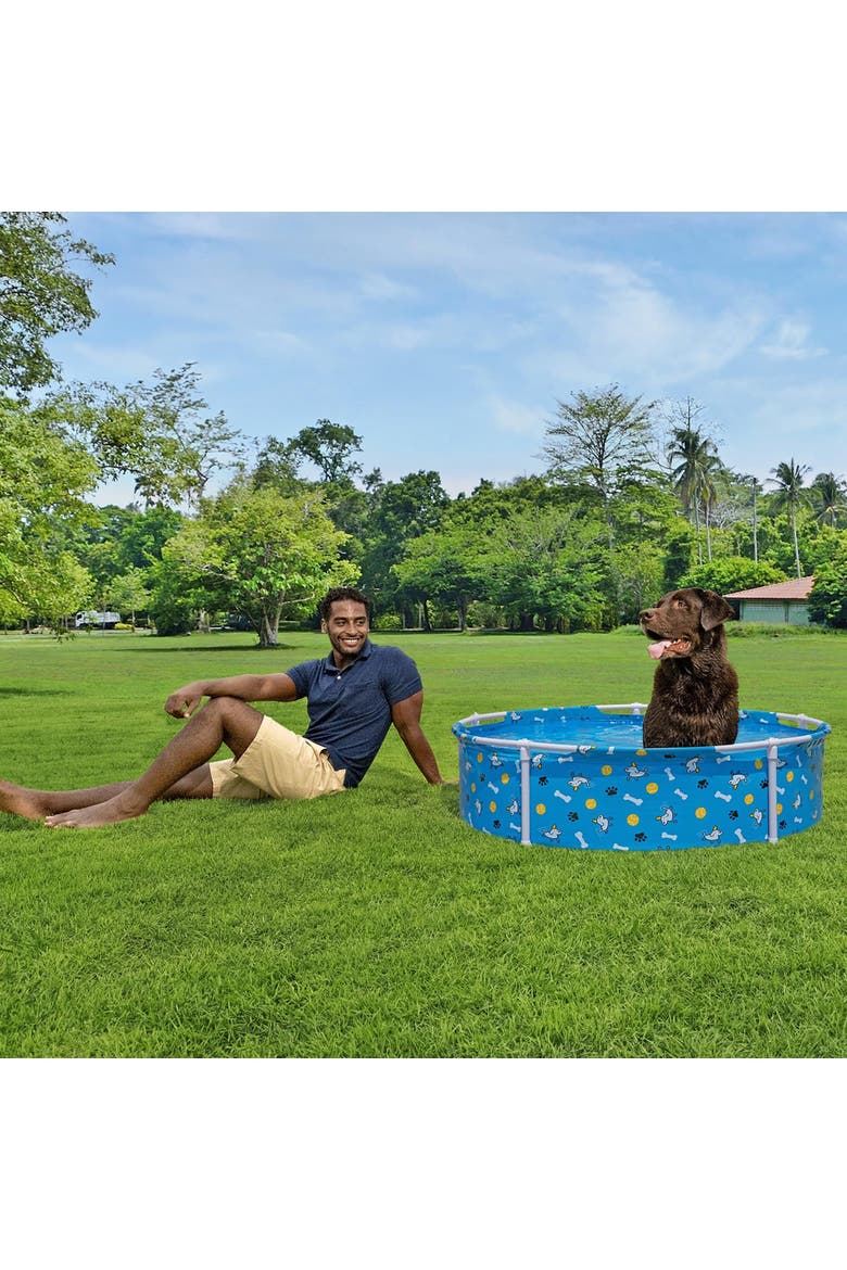Fetchin' Fun Pet Play Pool, Alternate, color, Multicolored