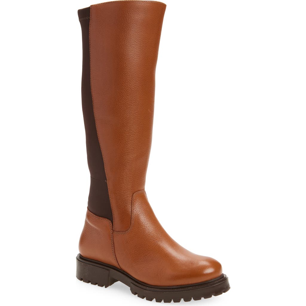 Chocolat Blu Frisco Knee High Boot In Multi