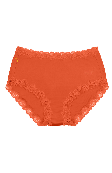 Soft Silk Briefs