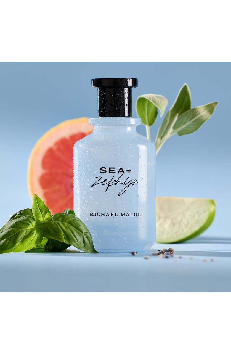 Michael Malul Sea + Zephyr 3.4oz/100mL Men's EDP, Alternate, color, Pastel Blue