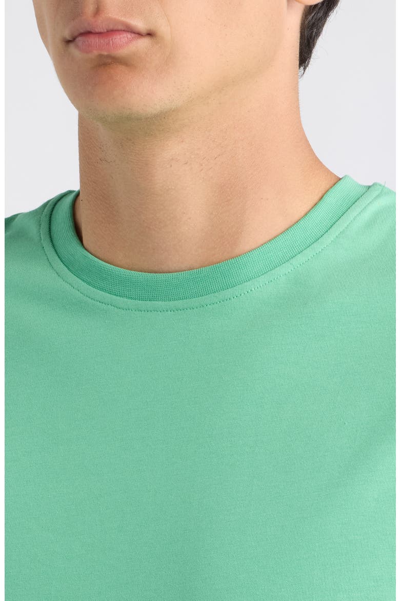 Flower Organic Cotton Graphic T-Shirt, Alternate, color, GREEN SPRUCE