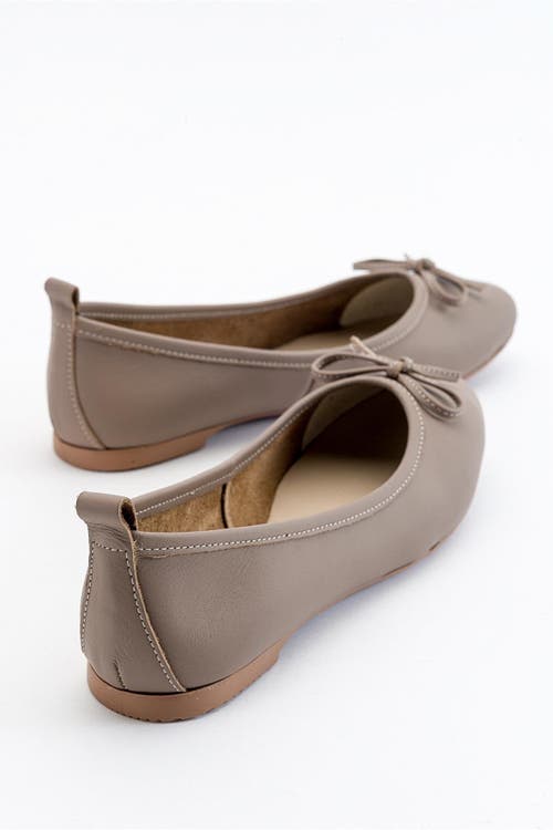 Forever & Always Shoes Florence Leather Ballerina Flats In Milk Brown Leather