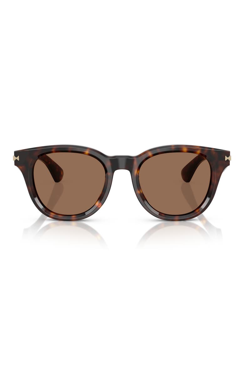 51mm Round Sunglasses, Main, color, DARK HAVANA
