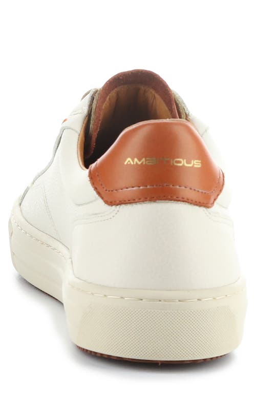 AMBITIOUS AMBITIOUS 12403 LOW TOP SNEAKER