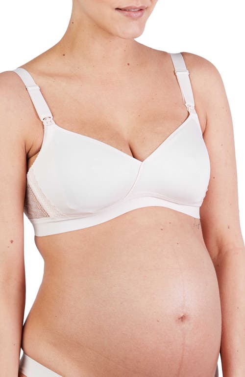 Cache Coeur Serena Wireless Lace Nursing Bra in Blush at Nordstrom, Size 36I
