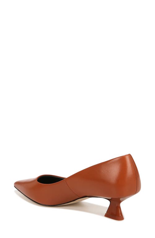 Sarto By Franco Sarto Diva Kitten Heel Pointed Toe Pump In Brown