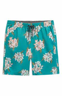 Hurley Malaga Volley Swim Trunks