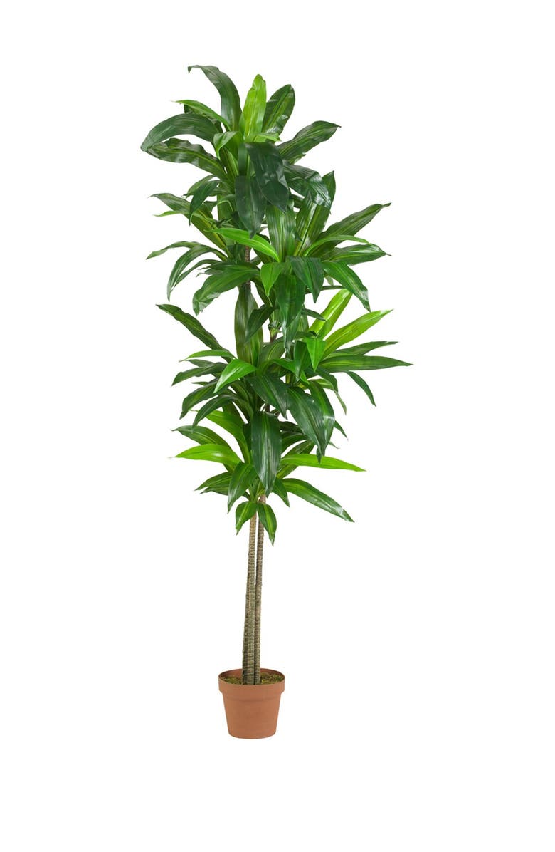 NEARLY NATURAL 6" Dracaena Silk Plant - Real Touch - Green, Main, color,