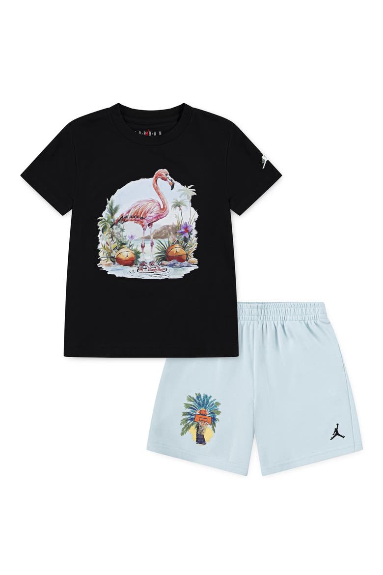 Kids' Flamingo Graphic T-Shirt & Knit Shorts Set, Main, color, G25GLACIER