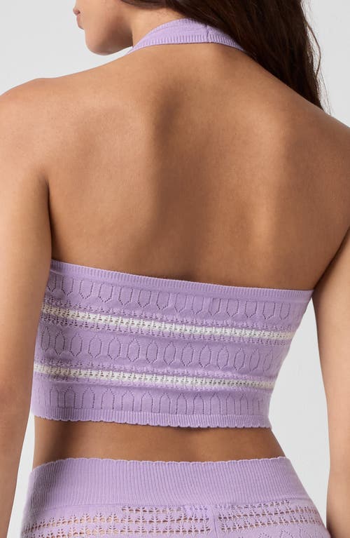 Florence By Mills Pointelle Halter Crop Top In Purple