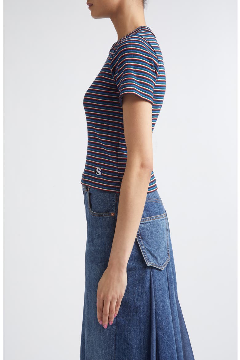 Stripe Rib Cotton T-Shirt, Alternate, color, BLUE
