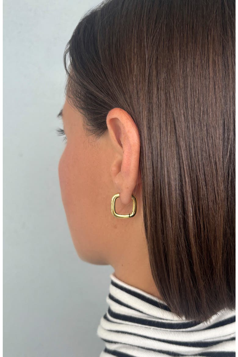 14k Gold Plated Rounded Edge Huggie Hoop Earrings, Alternate, color, GOLD