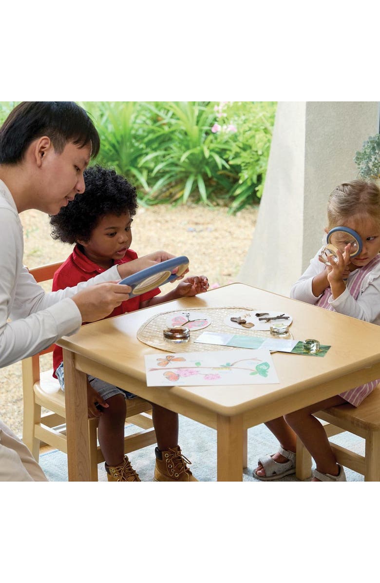 Kaplan Early Learning Company Specimen Life Cycle Puzzle - Butterfly, Alternate, color, Multicolored