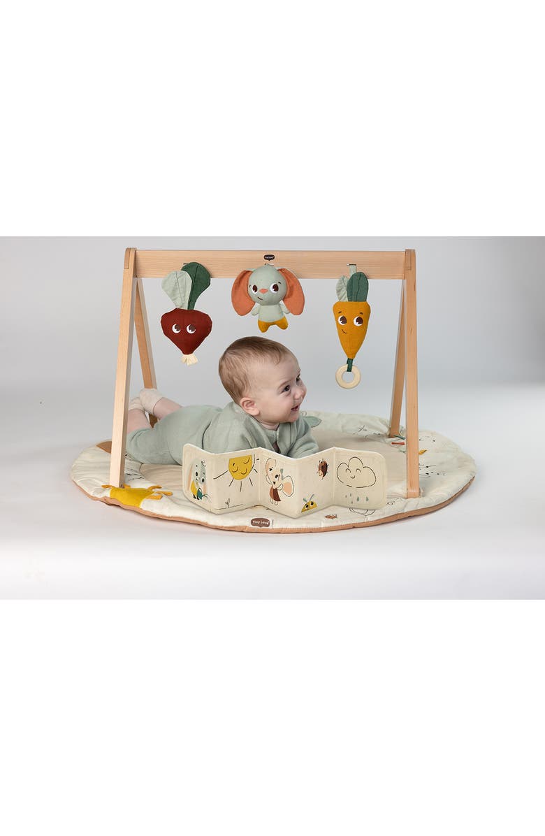 TINY LOVE Garden of Adventures Collection Activity Gym, Alternate, color, Garden Of Adventure Collection