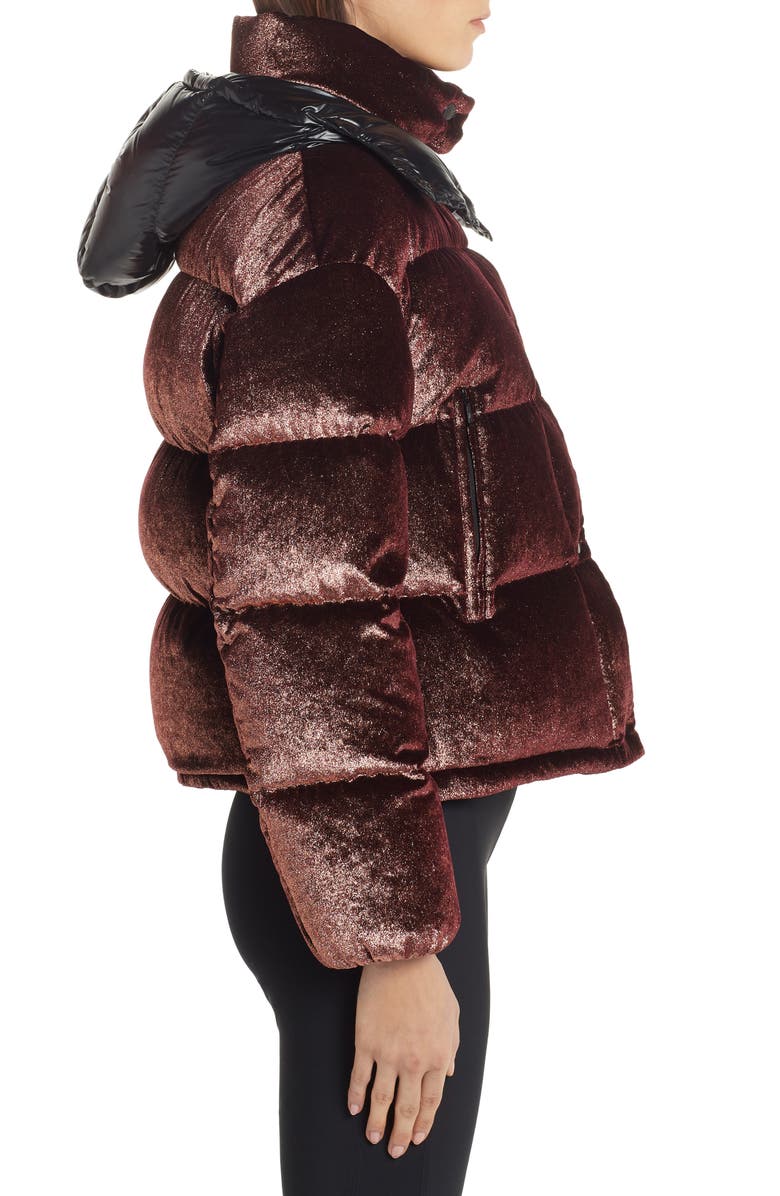 Moncler Caille Glitter Velvet Quilted Down Puffer Coat, Alternate, color,