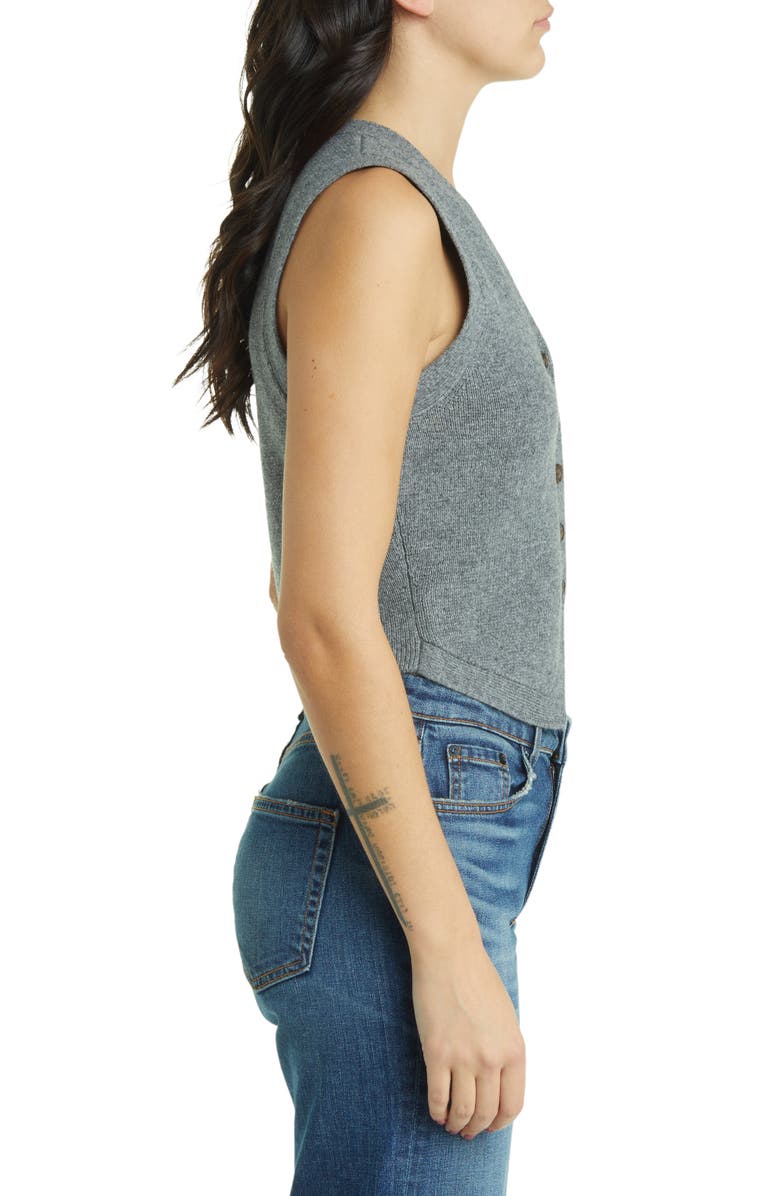 Madewell V-Neck Sweater Vest, Alternate, color, 