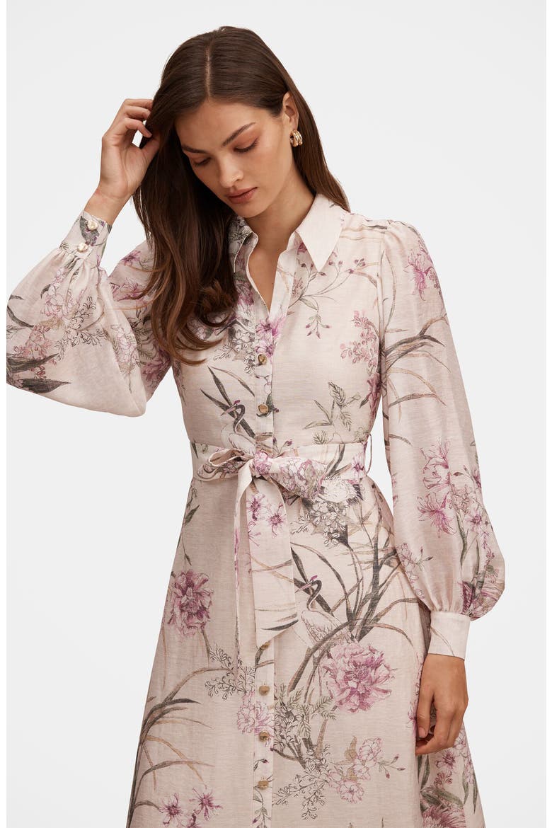 Hazel Long Sleeve Floral Print Midi Shirtdress, Alternate, color, PETAL BROOK FLORAL