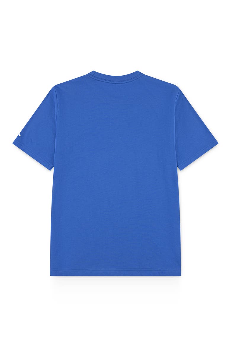 Kids' Distressed Chrome T-Shirt, Alternate, color, SPORT BLUE