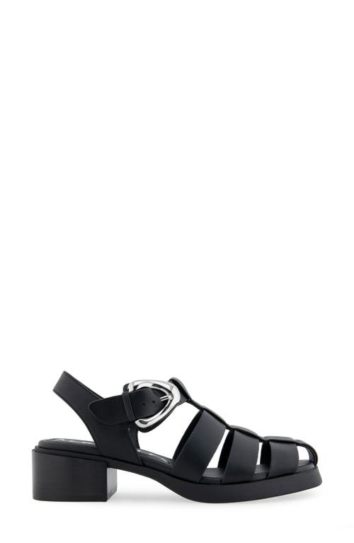 AEROSOLES AEROSOLES DAPPER FISHERMAN SANDAL