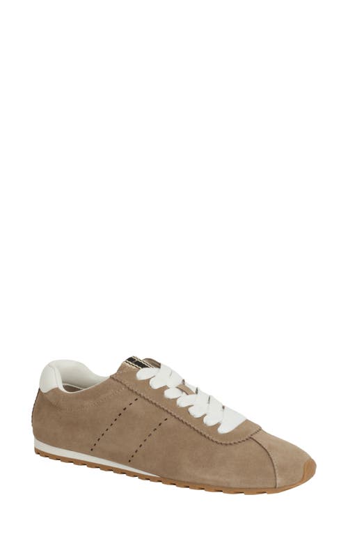 Shushop Priscilla Sneaker In Brown