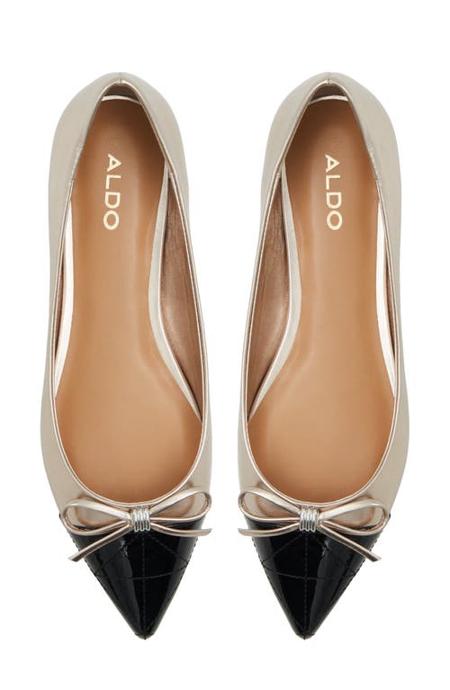 Aldo Women's Maddelyn Pointed-toe Ballerina Flats In Silver