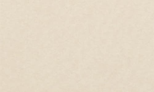 Brixton Regal Cotton Logo Graphic T-shirt In Multi