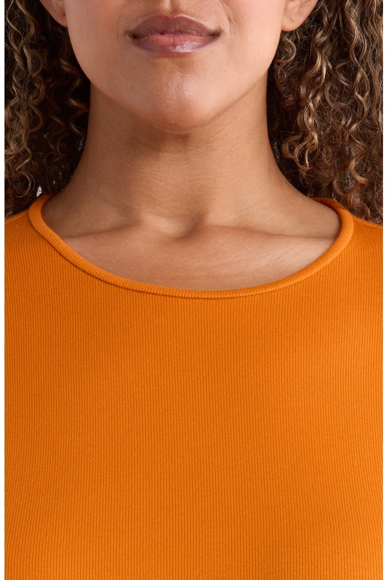 Rib Knit Stretch Organic Cotton Crewneck Top, Alternate, color, CLAY