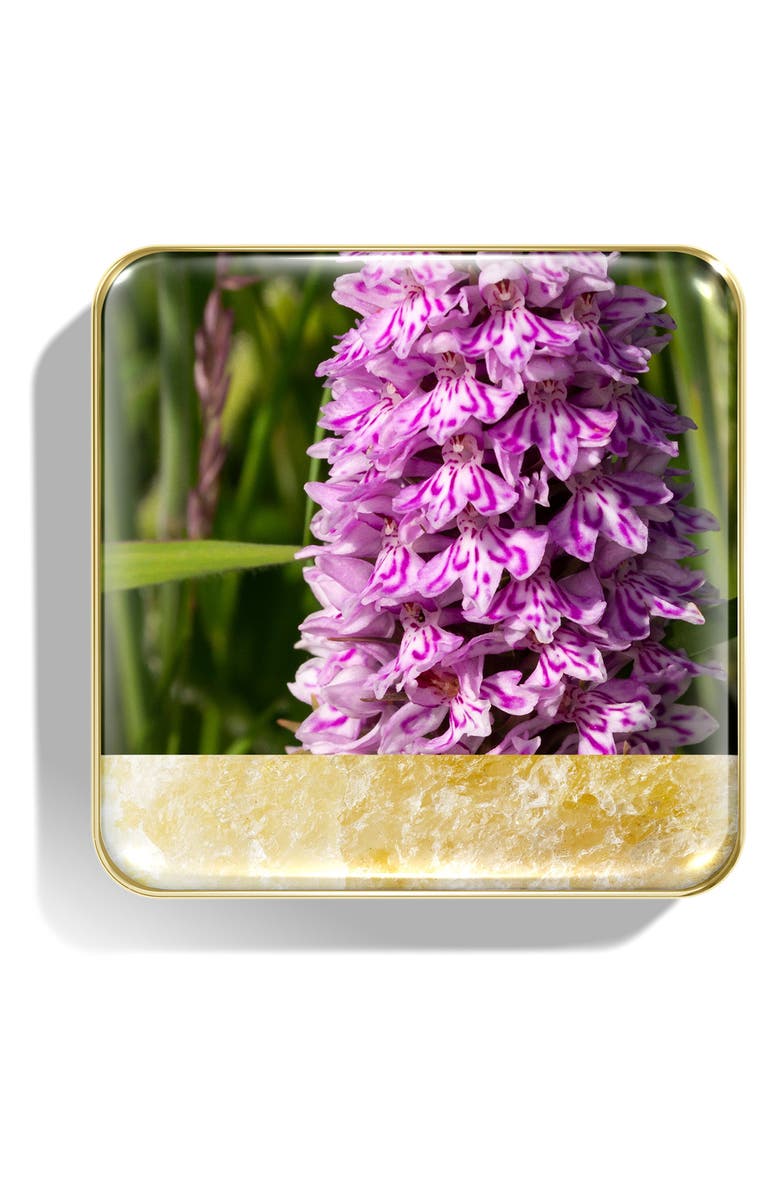 Chantecaille Wild Meadows Eye Quartet, Alternate, color, 