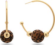 EYE CANDY LOS ANGELES Lara Hoop Earrings