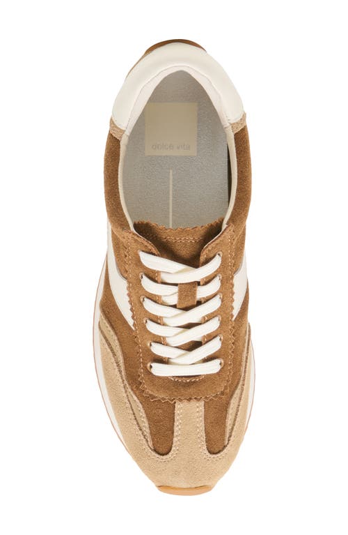 Dolce Vita B.ntcd Sneaker In Brown