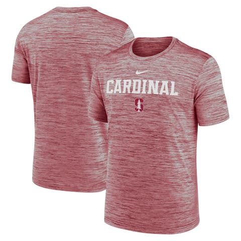 Men's Nike Cardinal Stanford Cardinal 2025 Sideline Velocity Dri-FIT T-Shirt