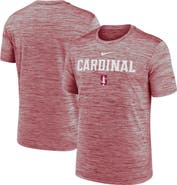Nike Men's Nike Cardinal Stanford Cardinal 2025 Sideline Velocity Dri-FIT T-Shirt