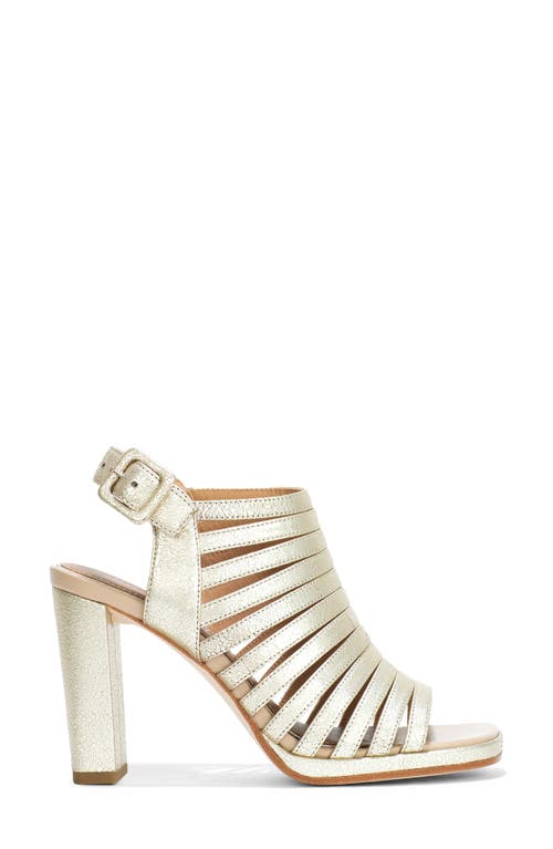 Donald Pliner Sevanna Ankle Strap Sandal In Platino