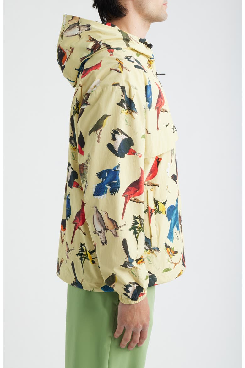Birds of Georgia Print Ridge Quarter Zip Anorak Jacket, Alternate, color, BIRD PRINT