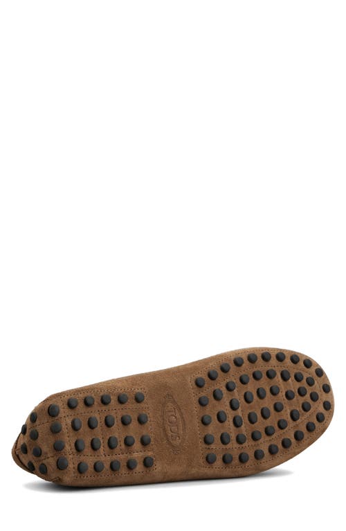 Tod's Men's Mocassino Gommino Slip On Loafers In Noce Chiaro