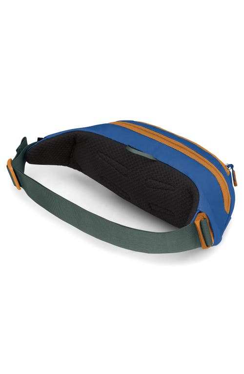 Osprey Daylite Earth 2-liter Belt Bag In Dark Charcoal/blue Flame
